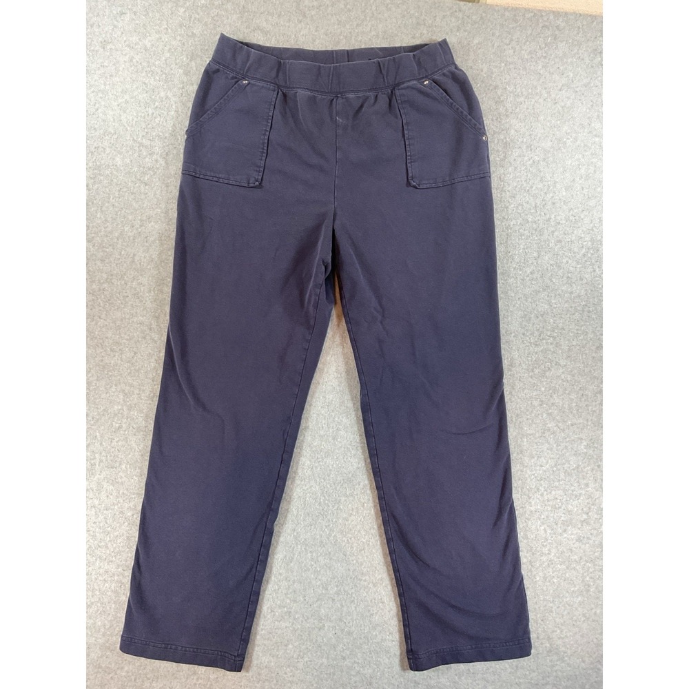 Karen Scott Pants Womesn Size Large Blue Straight Leg Pull On Casual Sport #421
